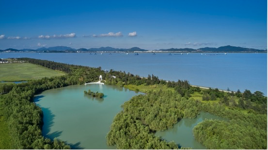 1626618941759367.png image.png